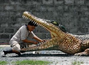 crocodile-3