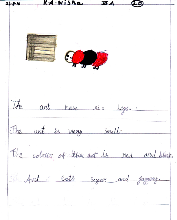 The ants, the ants – SmallScience